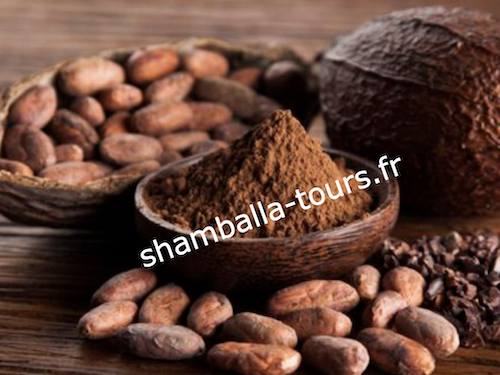 ceremonie-cacao-sacre-chaman