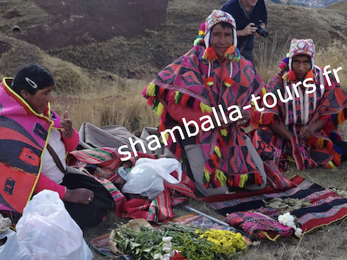 chaman-voyage-spirituel-perou-animal