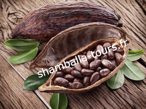 chamanisme-tambour-cacao-ceremonie